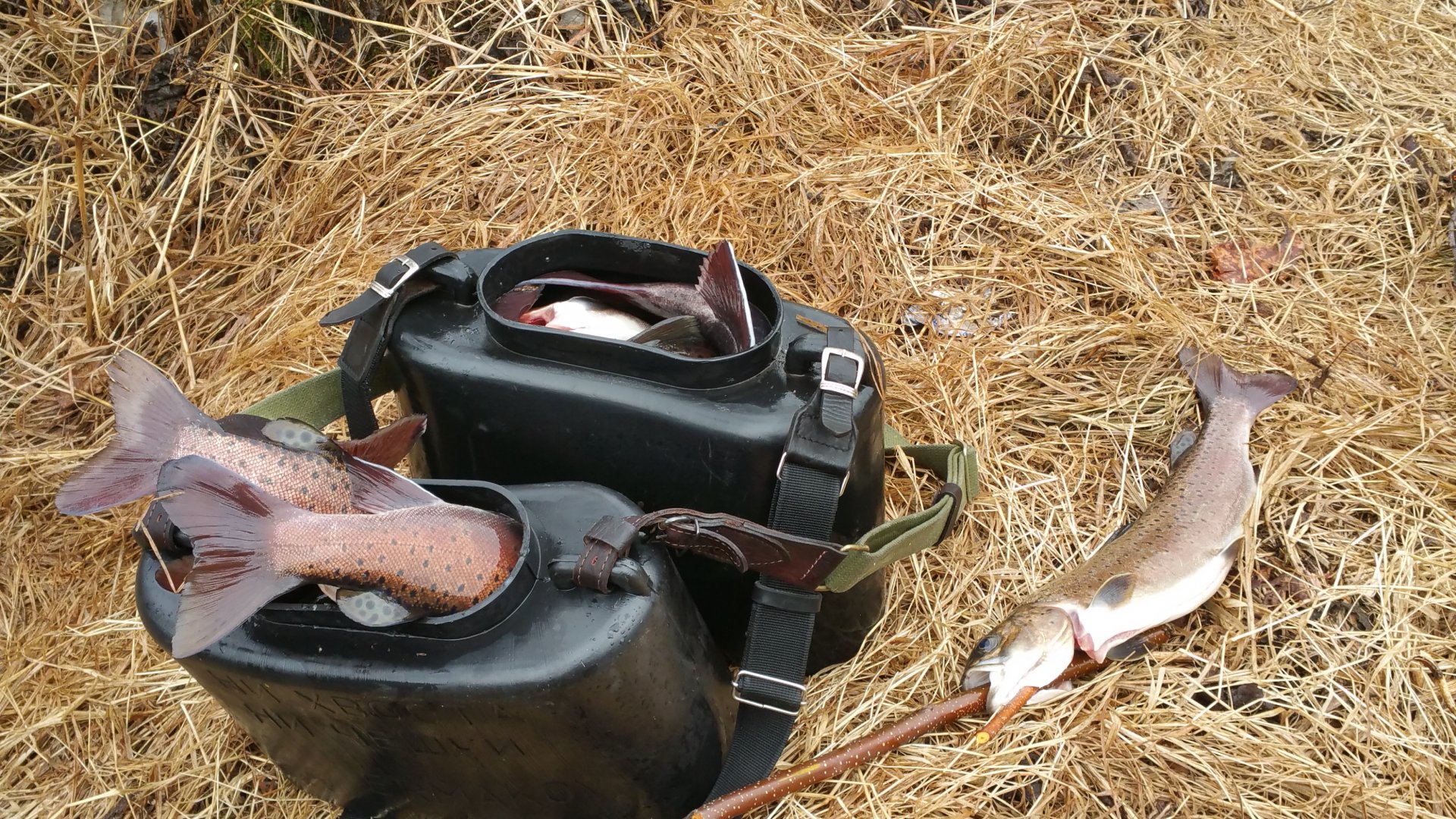 20150426_160213.jpg