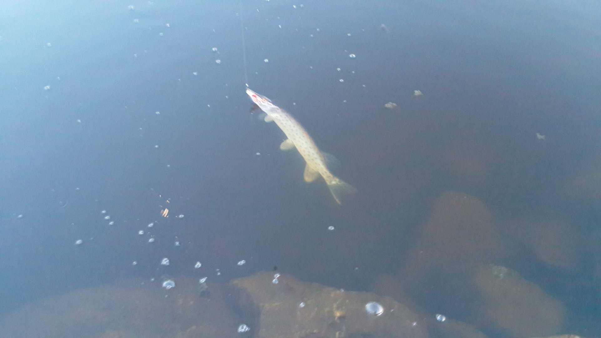 20150428_200503.jpg