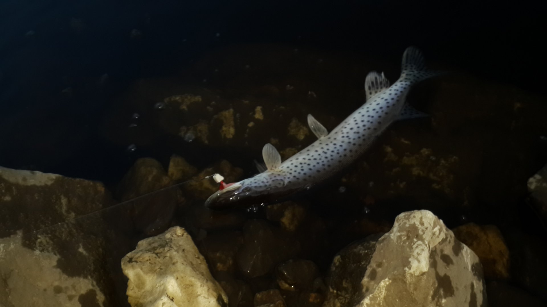 20150428_201009.jpg