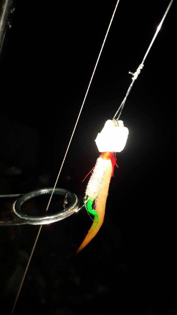 20150428_202807.jpg