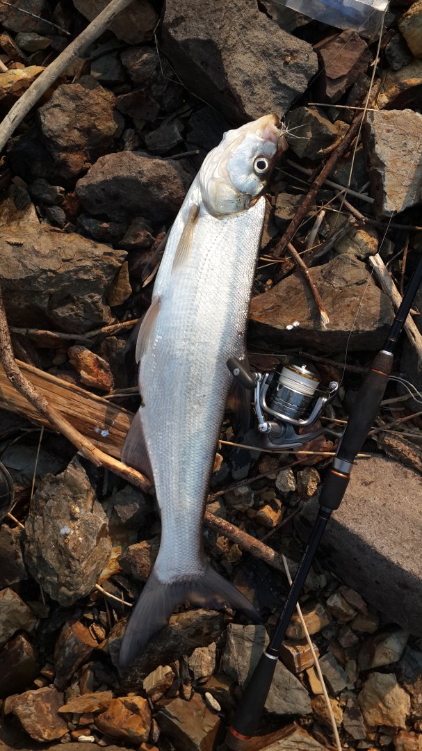 20150501_090044.jpg