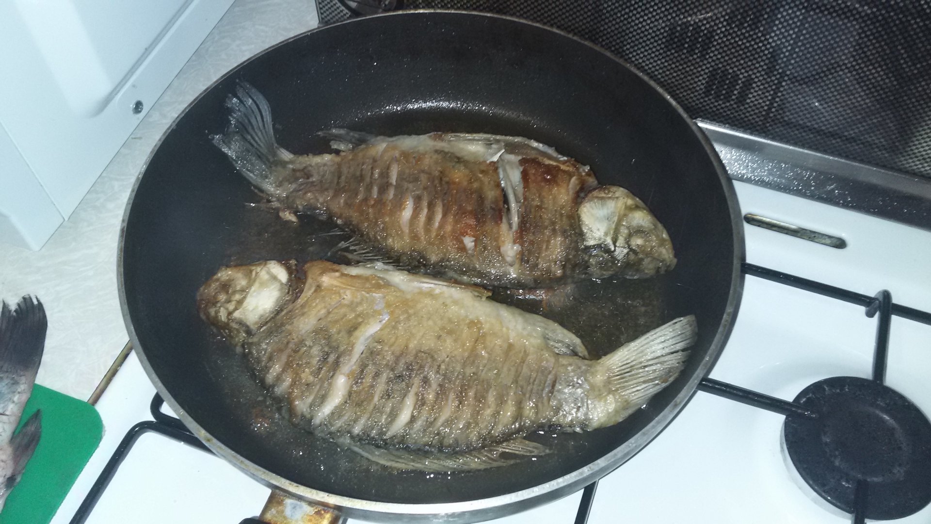 20150512_182935[1].jpg