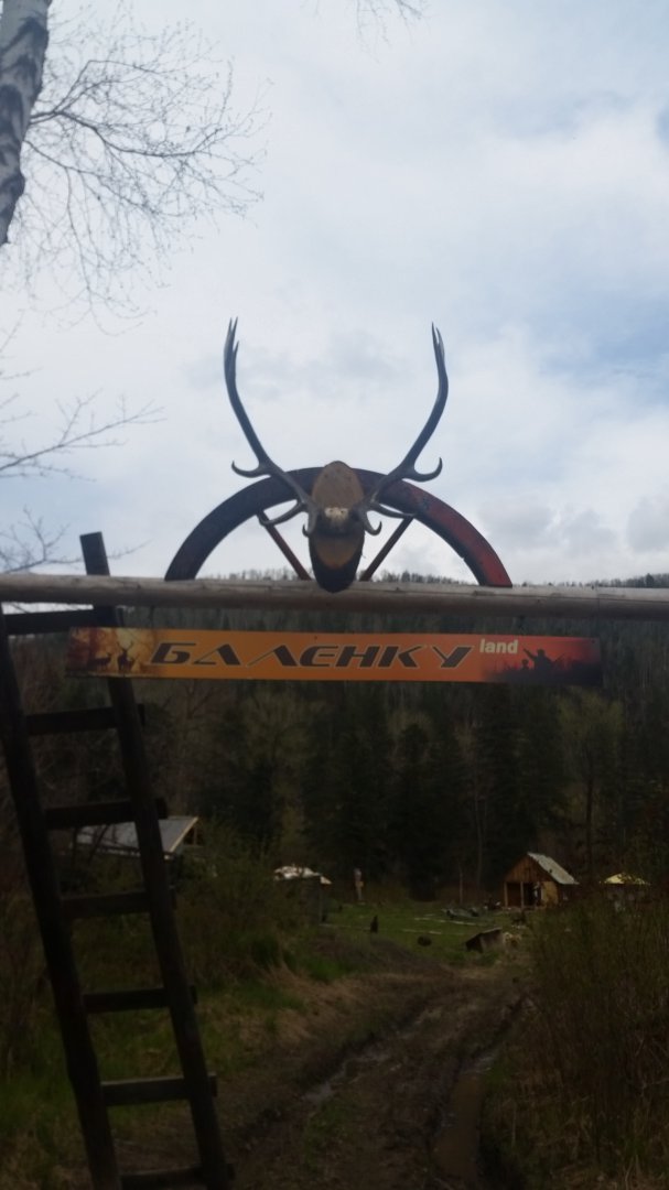 20150522_133646.jpg