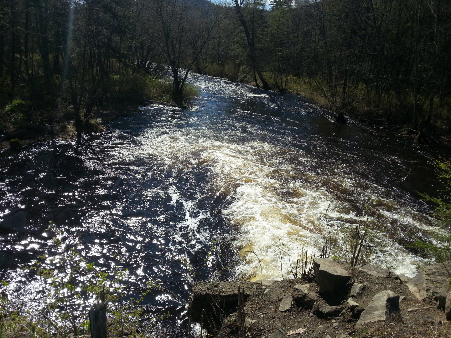 20150524_093712.jpg