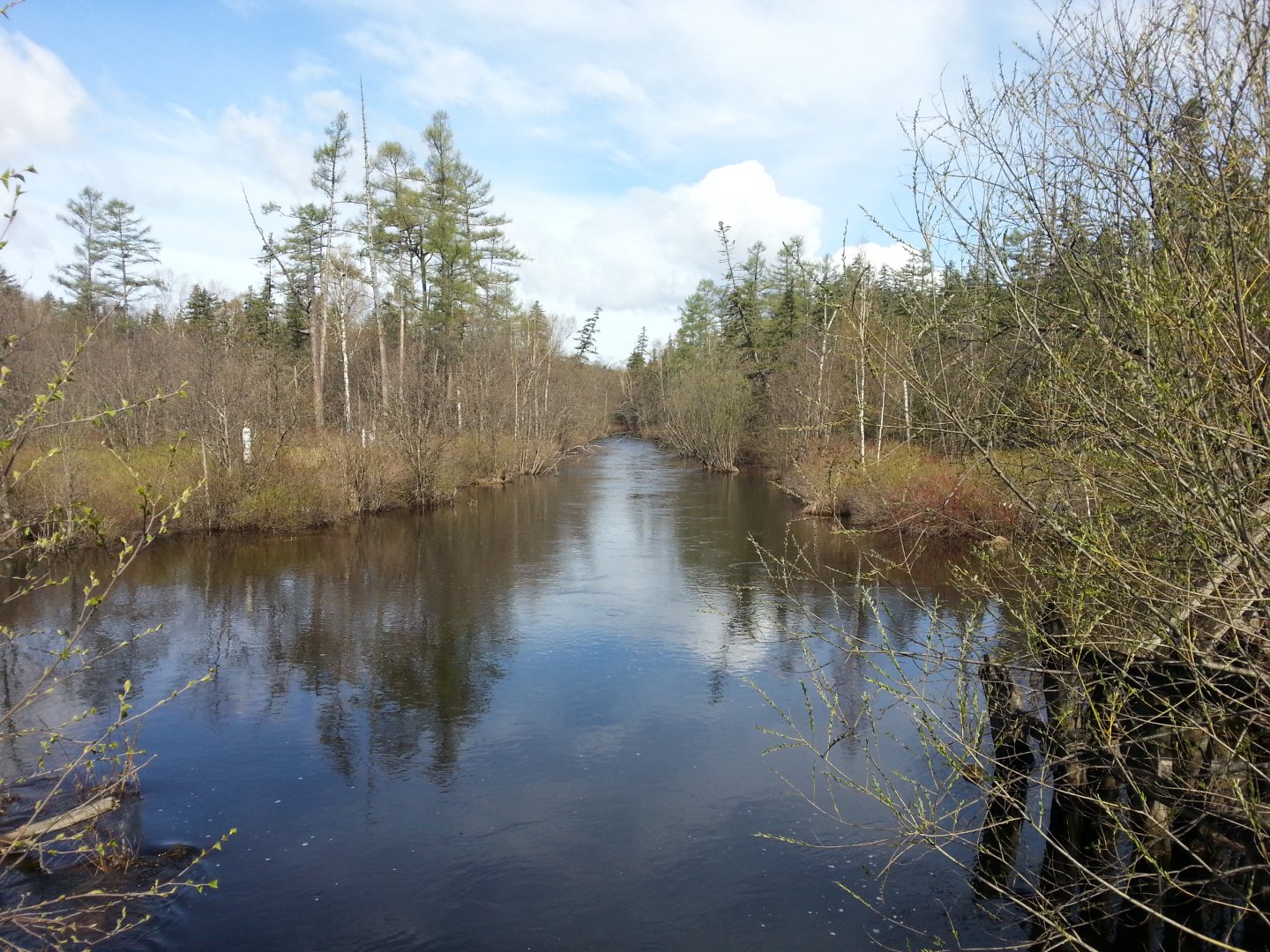 20150524_093953.jpg