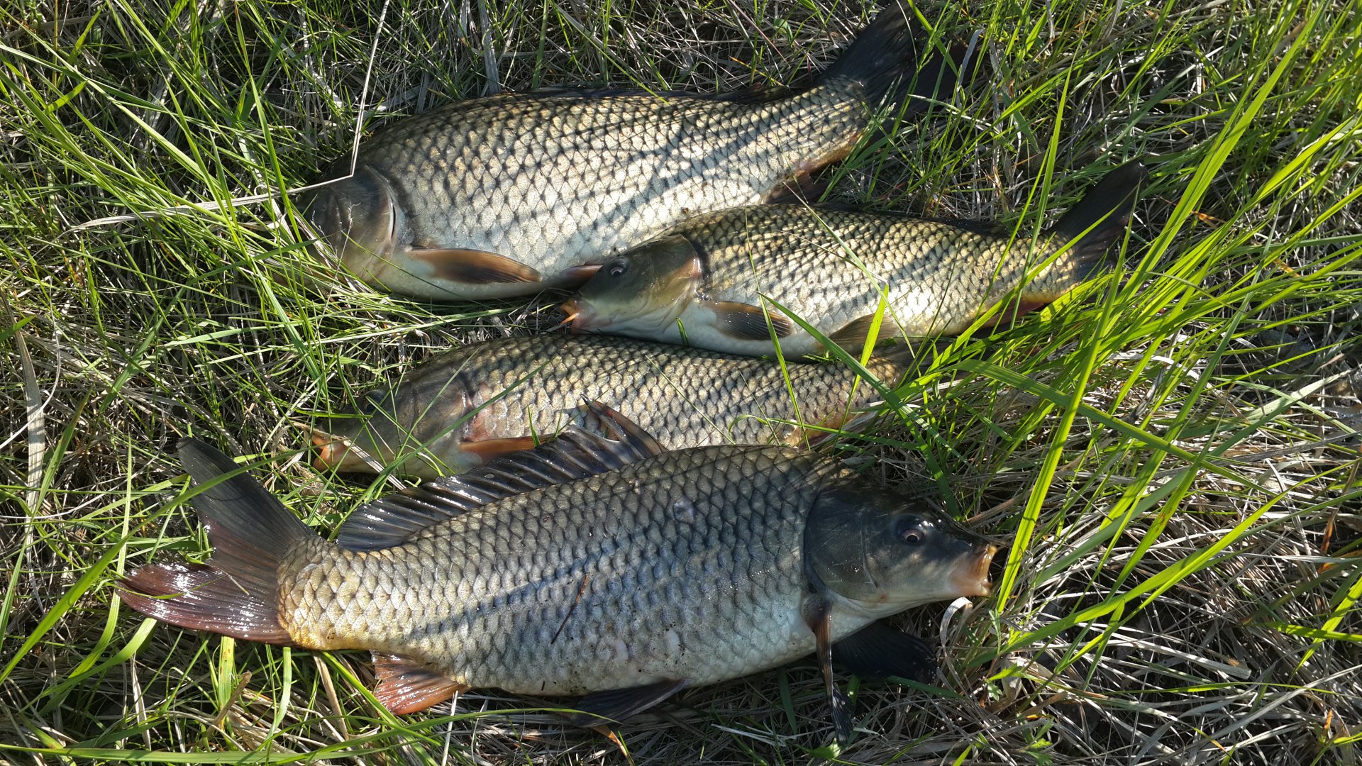 20150526_174209.jpg