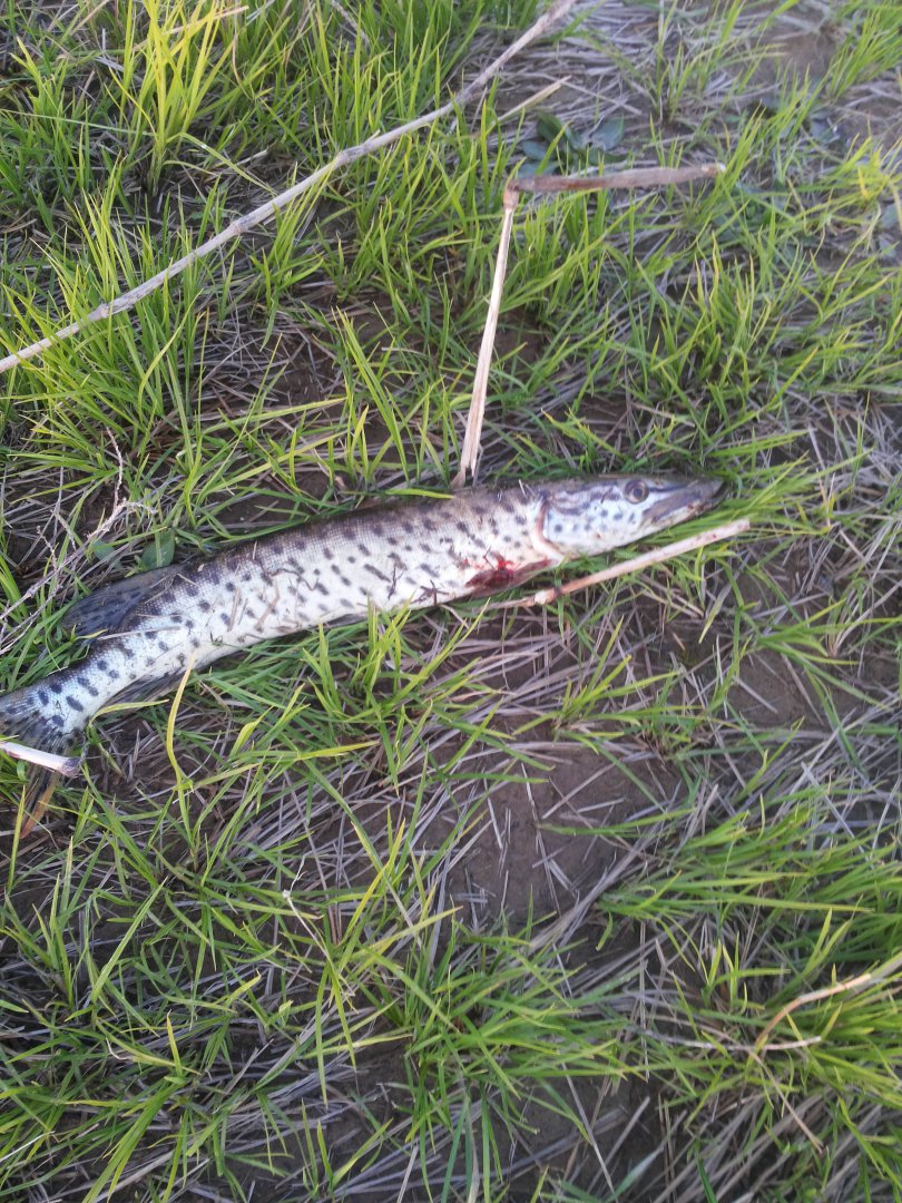 20150526_203635.jpg