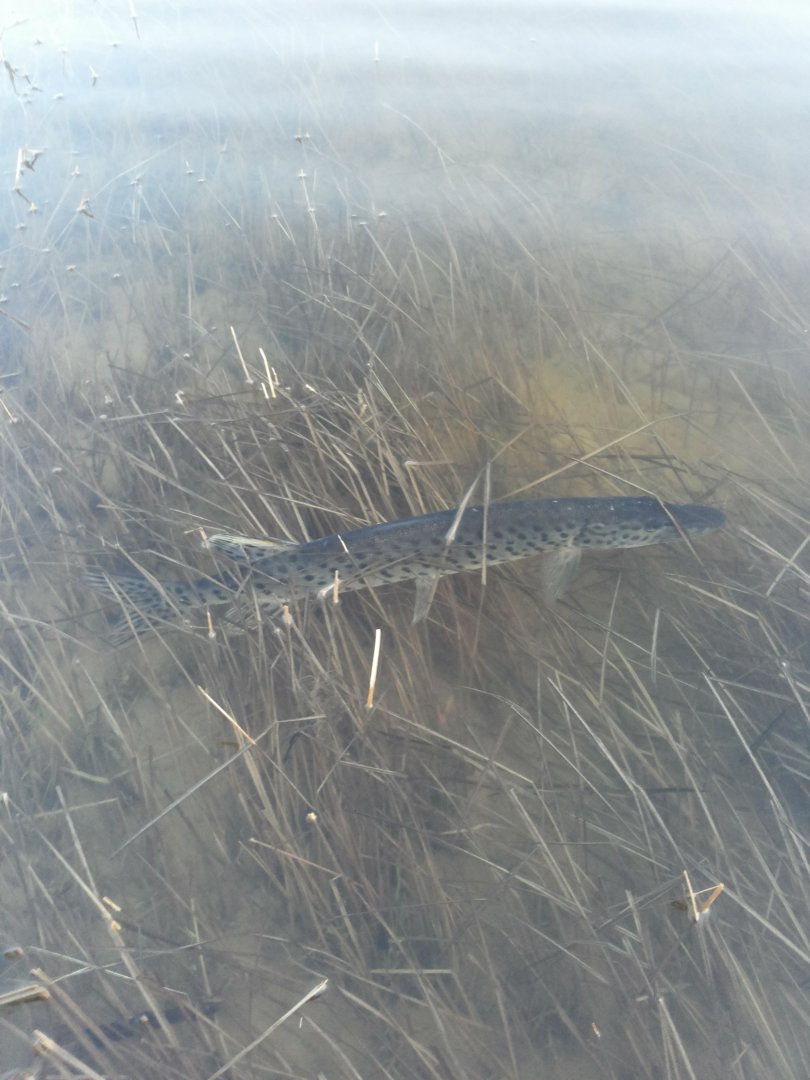 20150526_204254.jpg