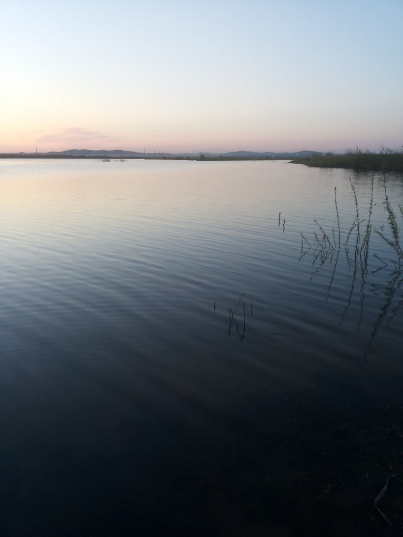 20150526_204316.jpg