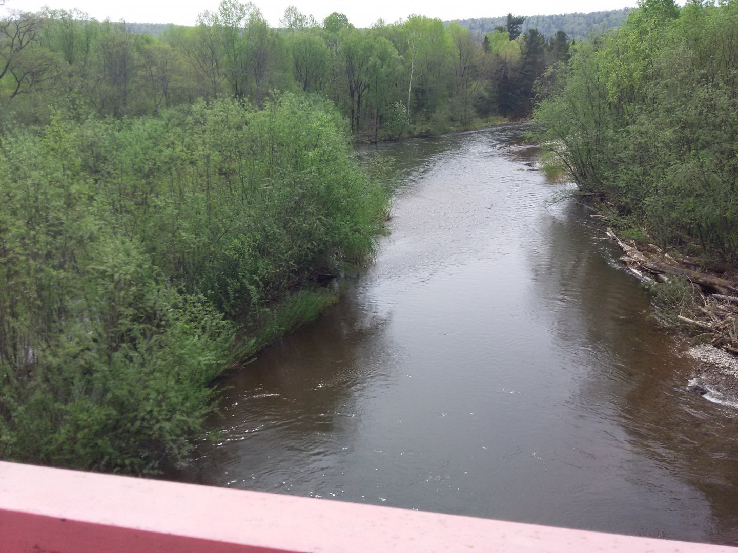 20150529_105913.jpg