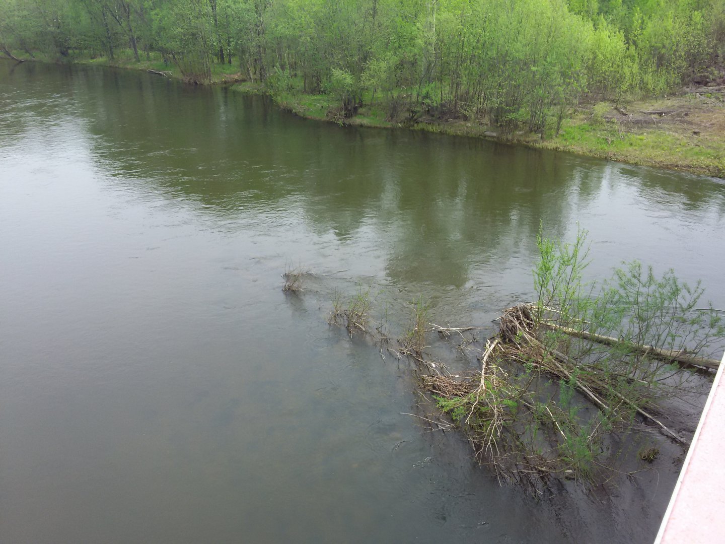 20150529_110048.jpg