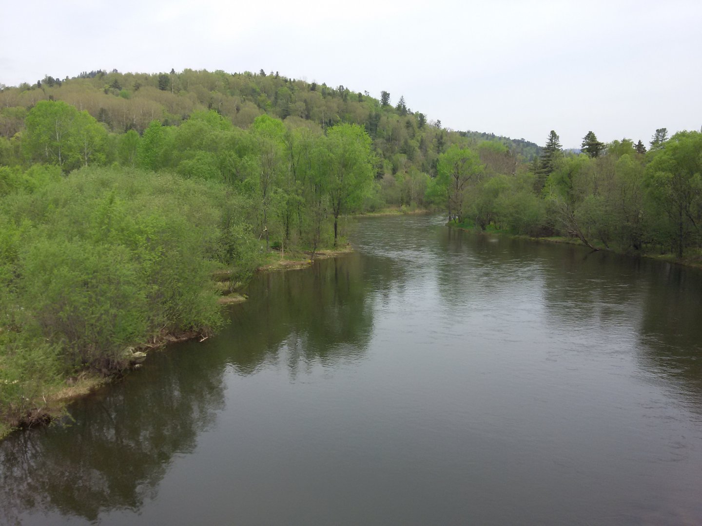 20150529_110059.jpg