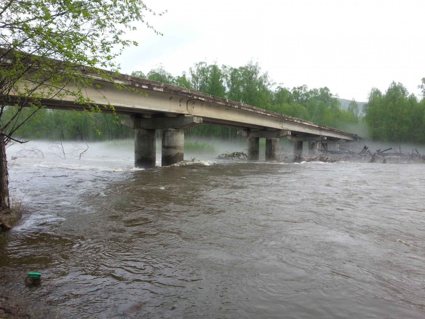 20150530_073335.jpg