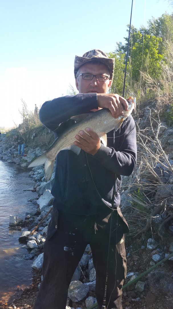 20150530_170023.jpg