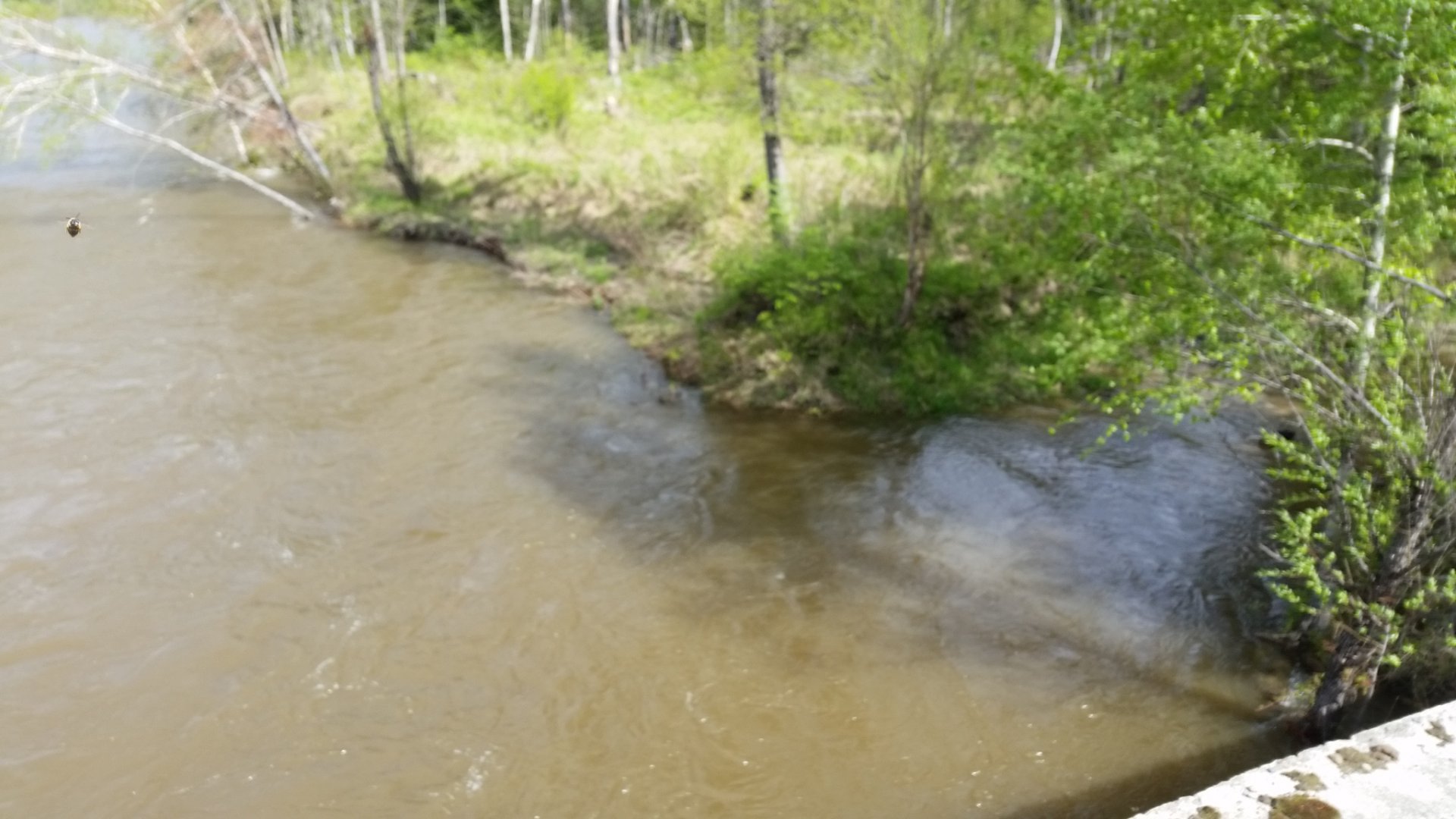 20150606_161854.jpg