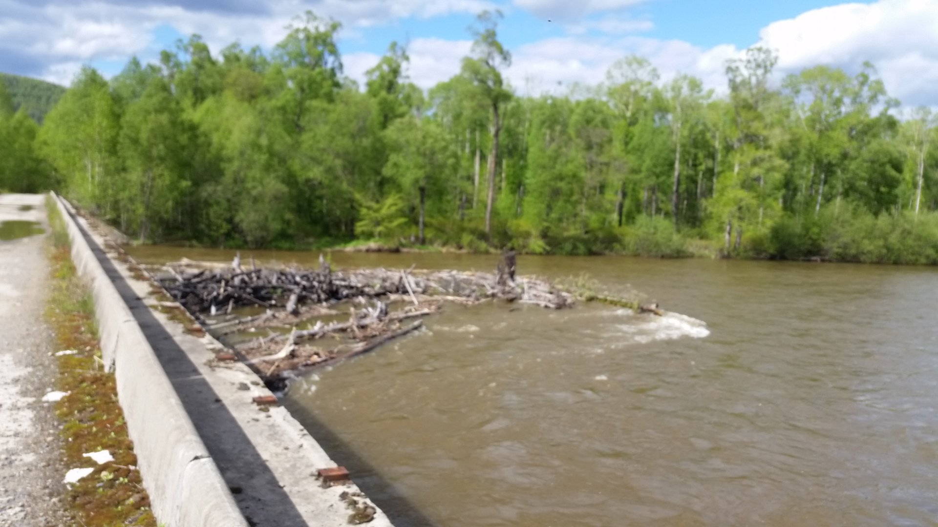 20150606_161859.jpg
