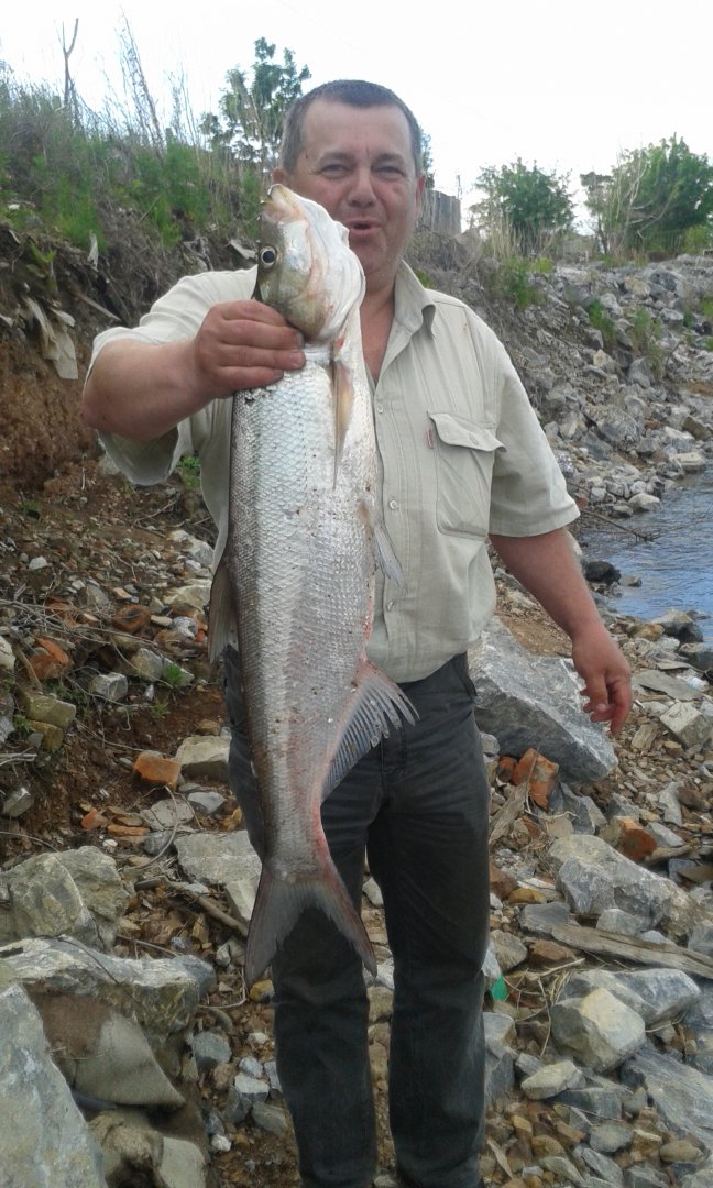 20150610_190027.jpg