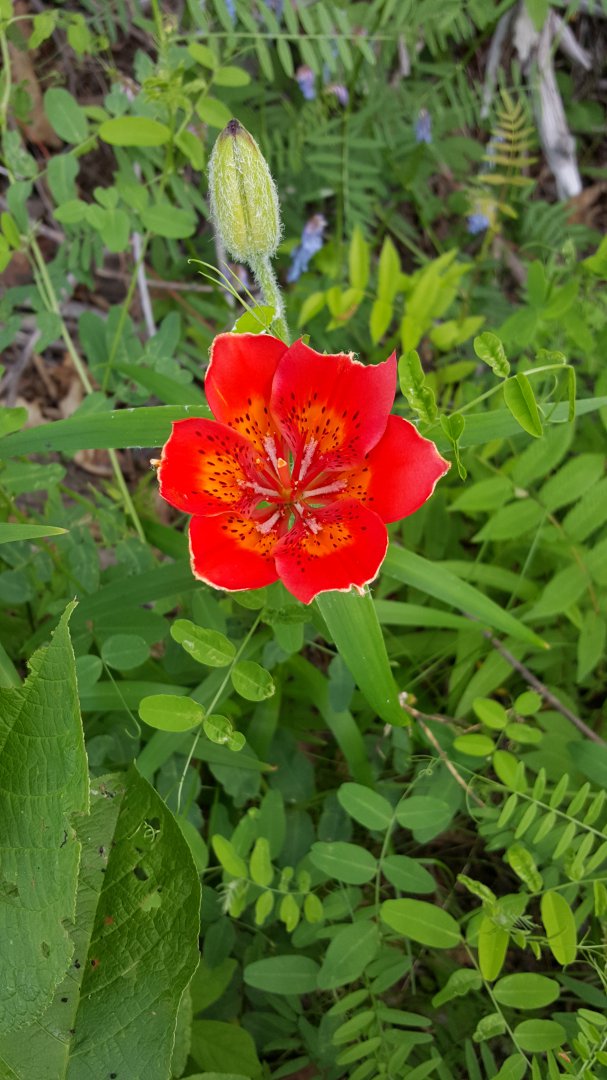 20150620_080836.jpg