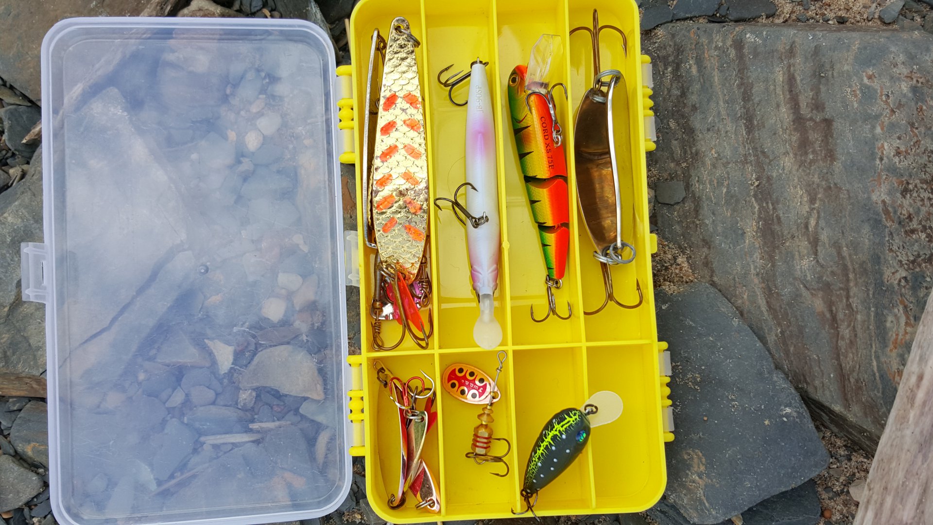 20150620_082552.jpg