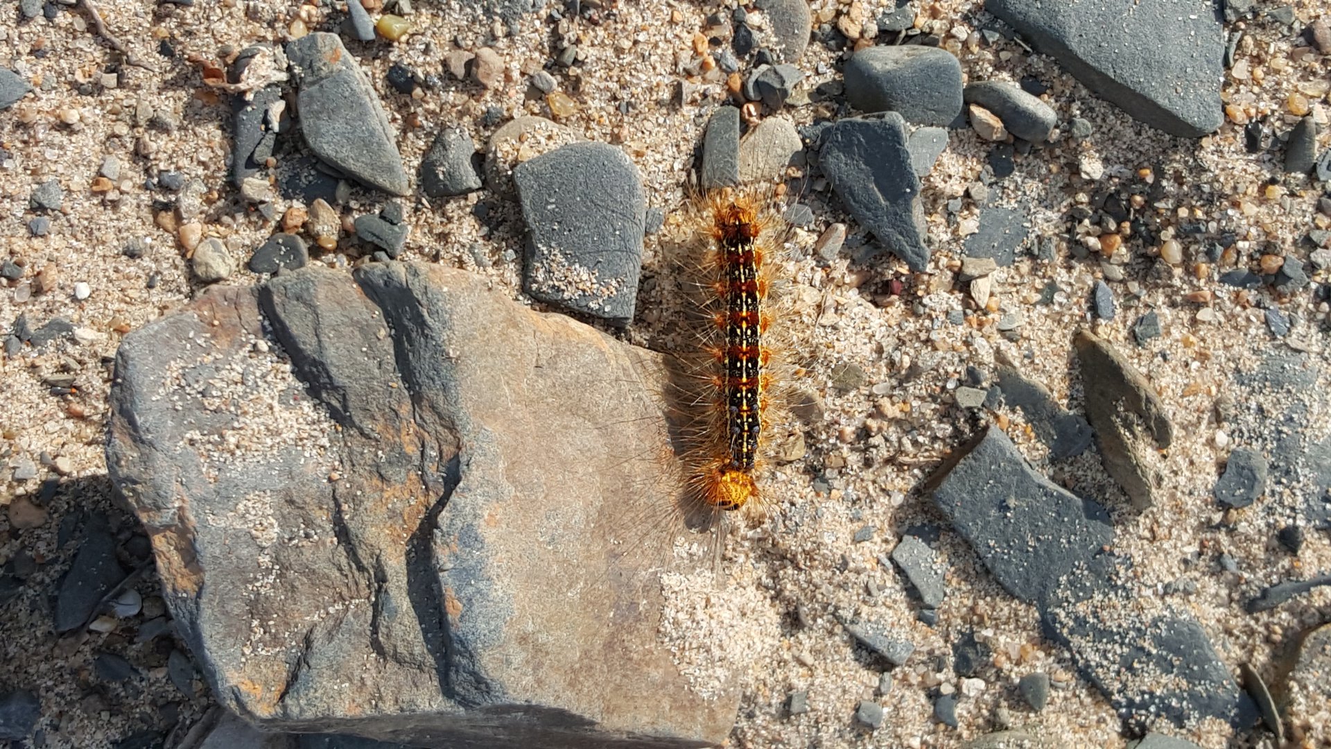 20150620_083201.jpg