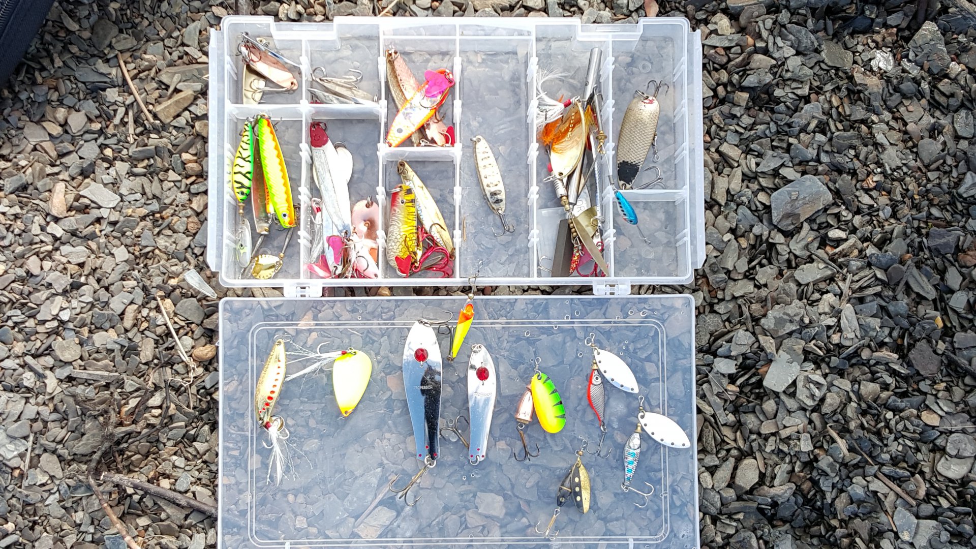 20150620_085856.jpg