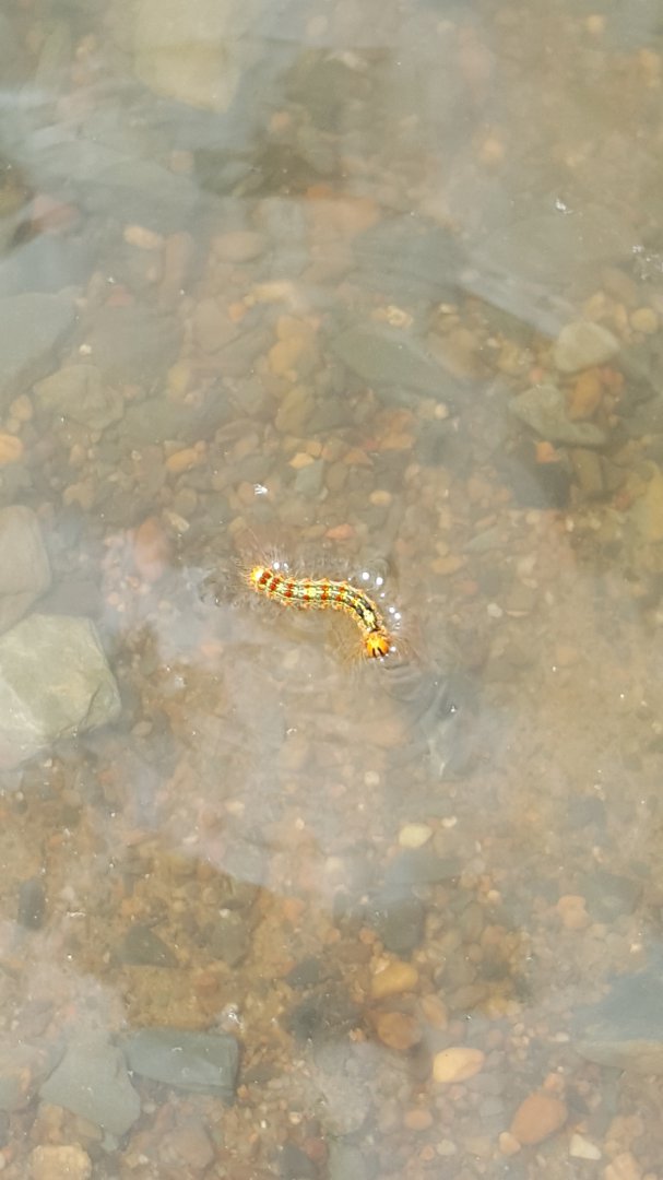 20150620_121605.jpg