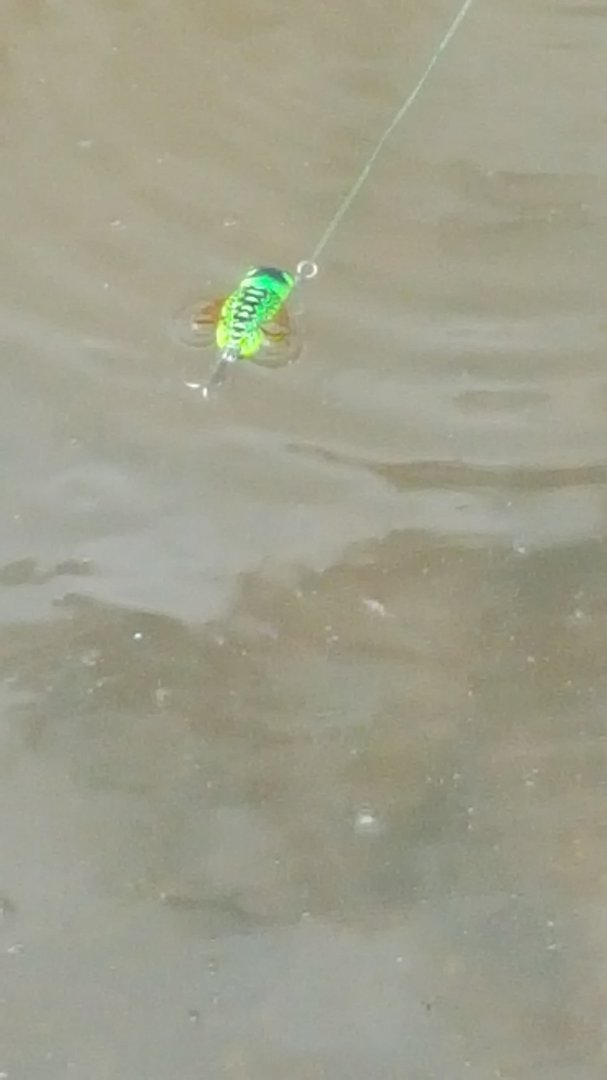20150620_121859.jpg