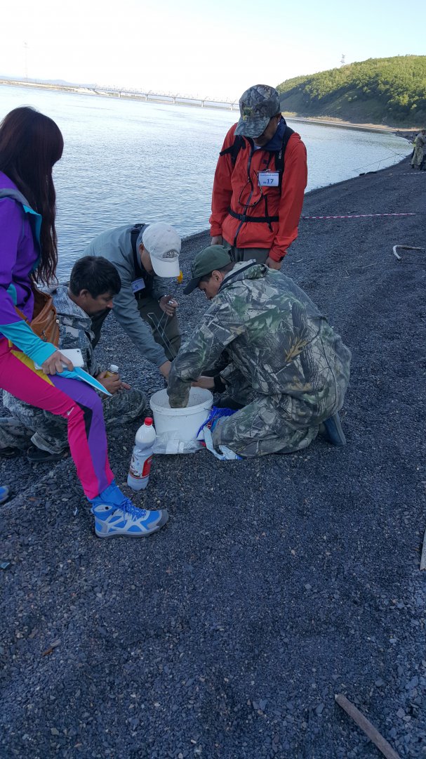 20150627_15а (4).jpg