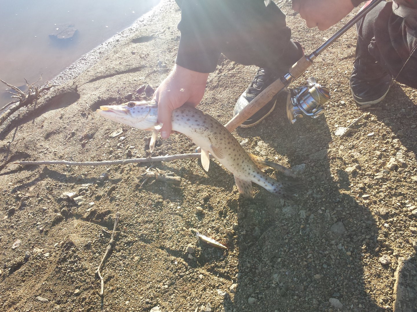 20150704_192009.jpg