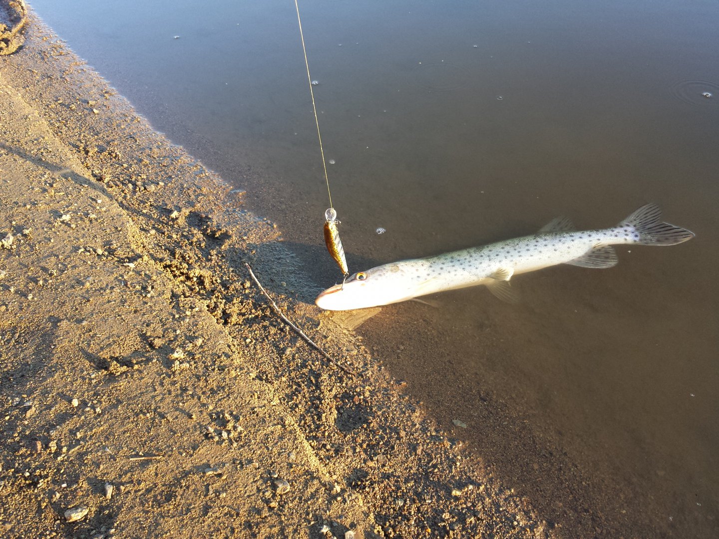 20150704_201344.jpg