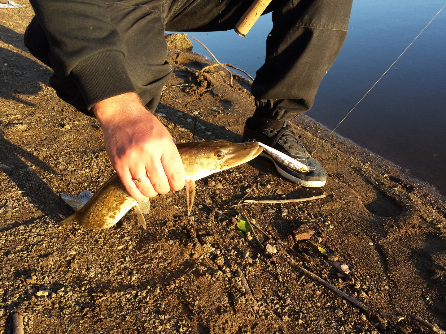 20150704_201422.jpg