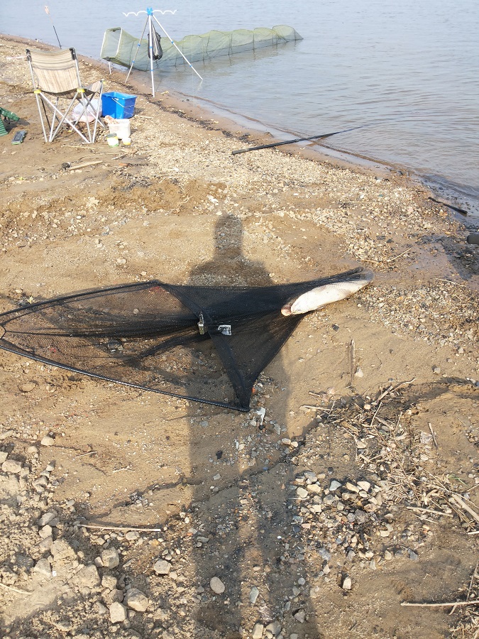 20150711_080926.jpg