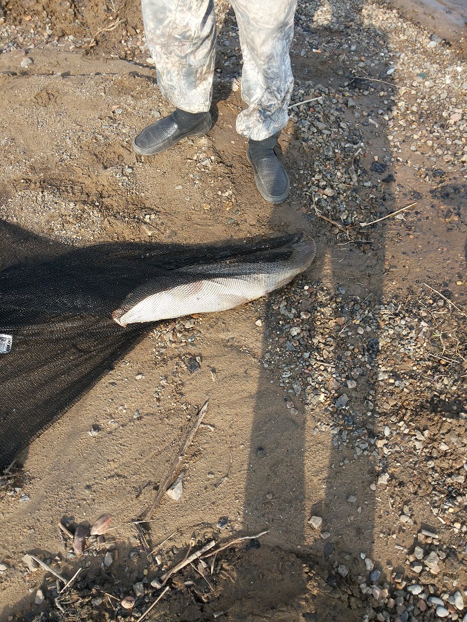 20150711_080939.jpg