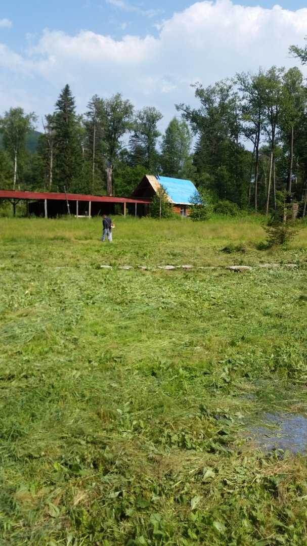 20150728_153049.jpg