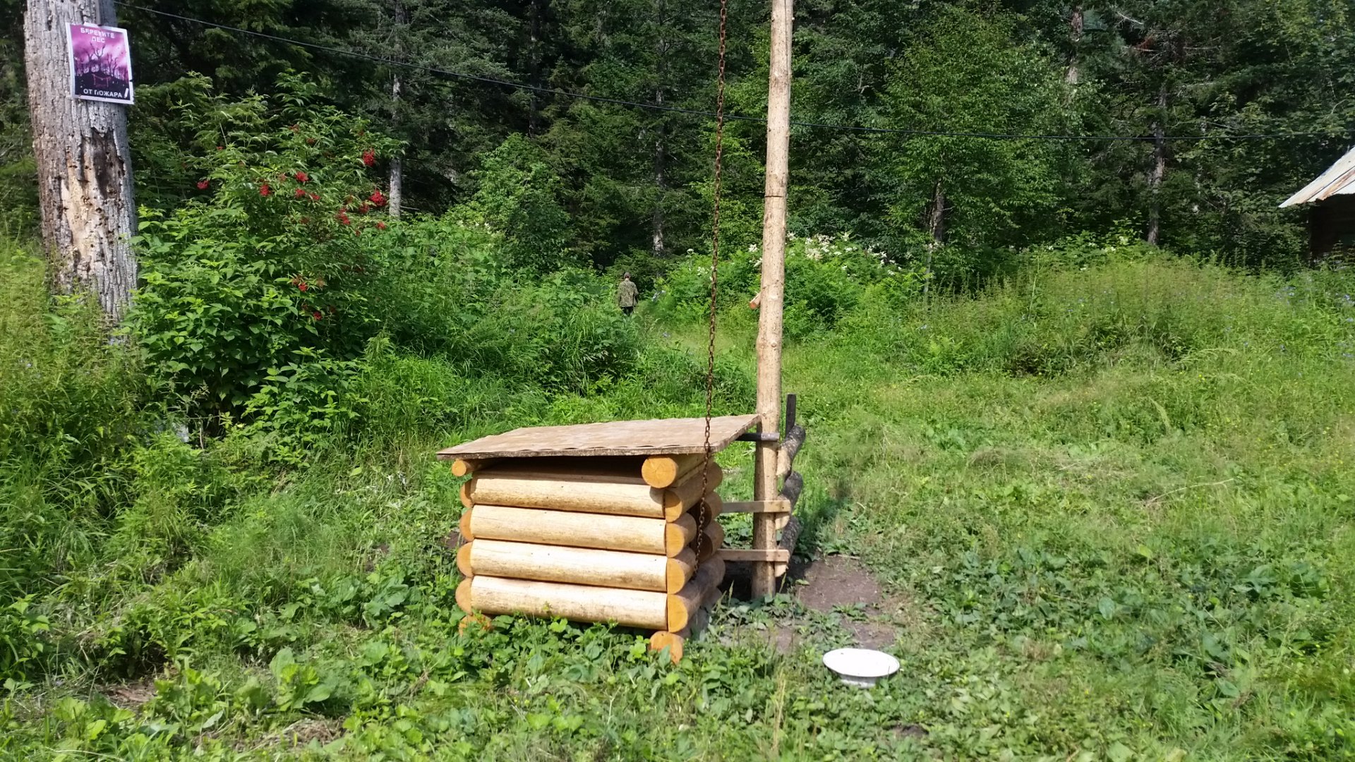 20150728_153209.jpg