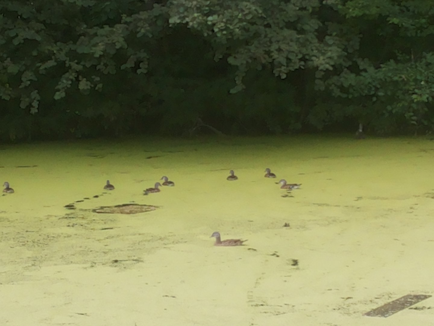 20150809_095827.jpg