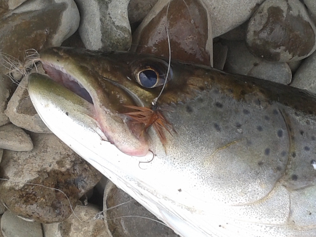 20150828_131625.jpg