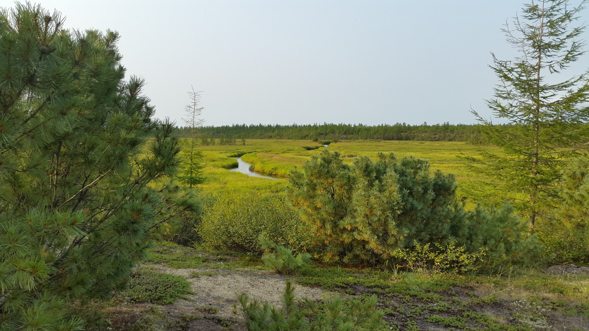 20150830_171940.jpg