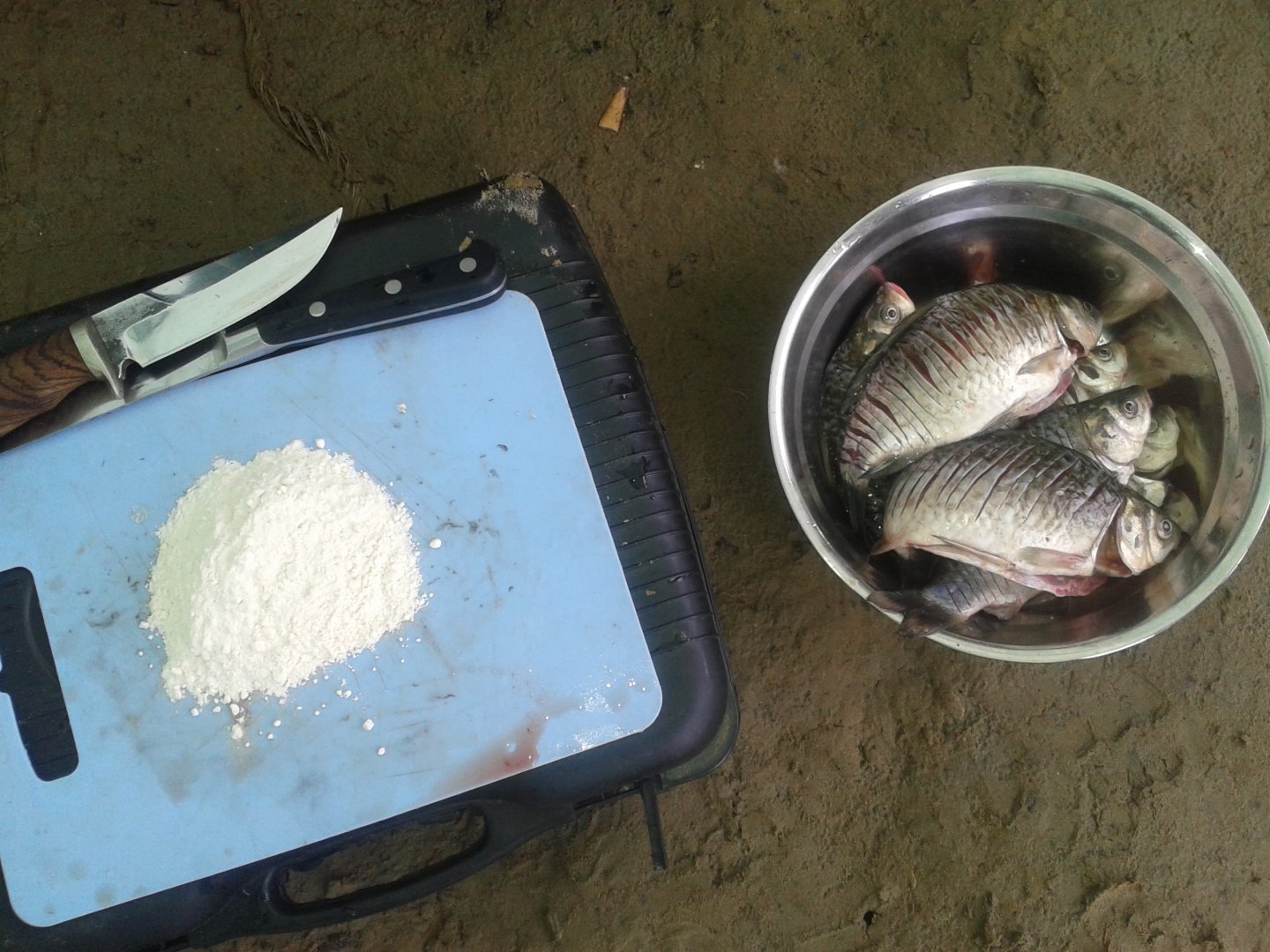 20150912_103315.jpg