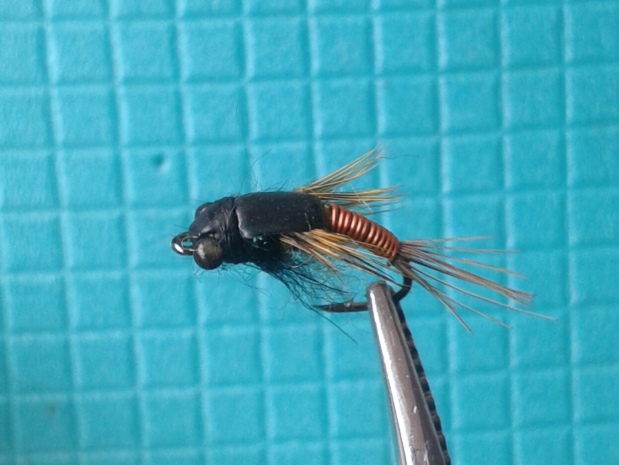 20150920_144846-1.jpg