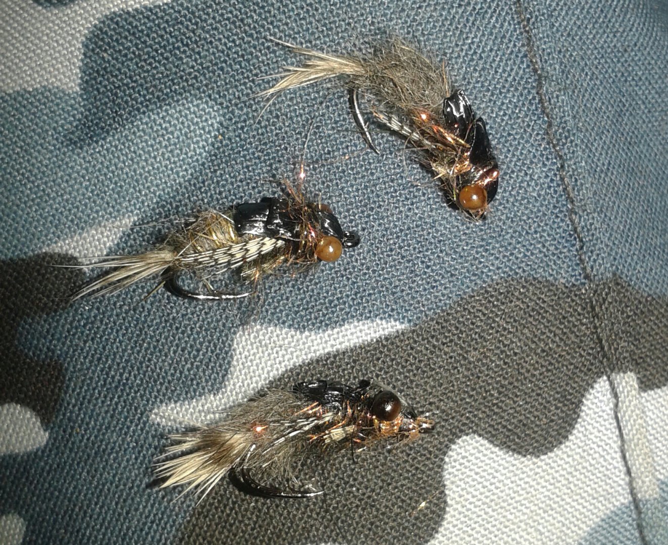 20150921_004634-1.jpg