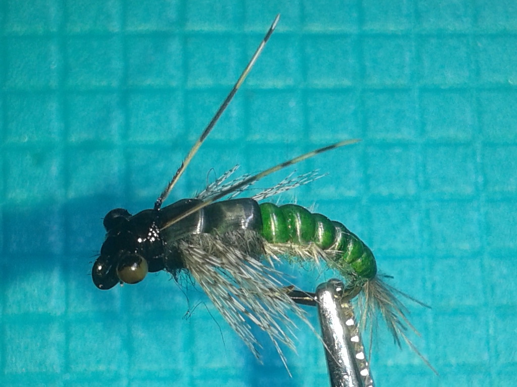 20150923_013336.jpg