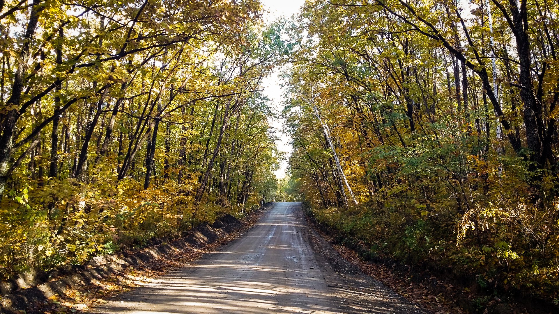 20151004_090624.jpg