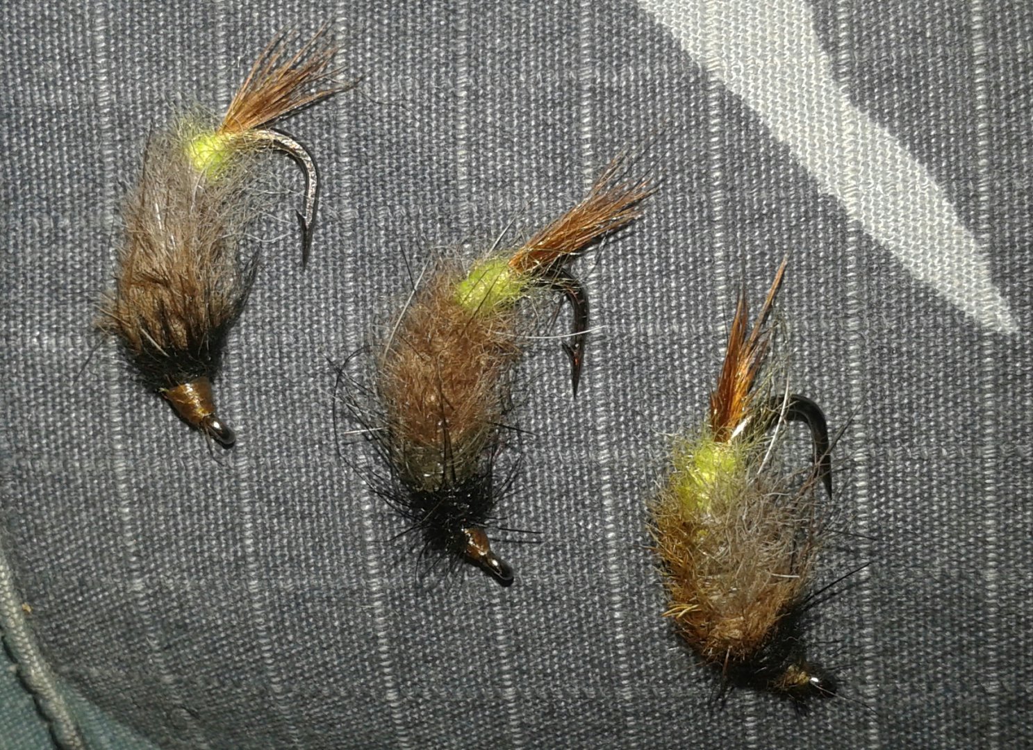 20151006_225325-1.jpg