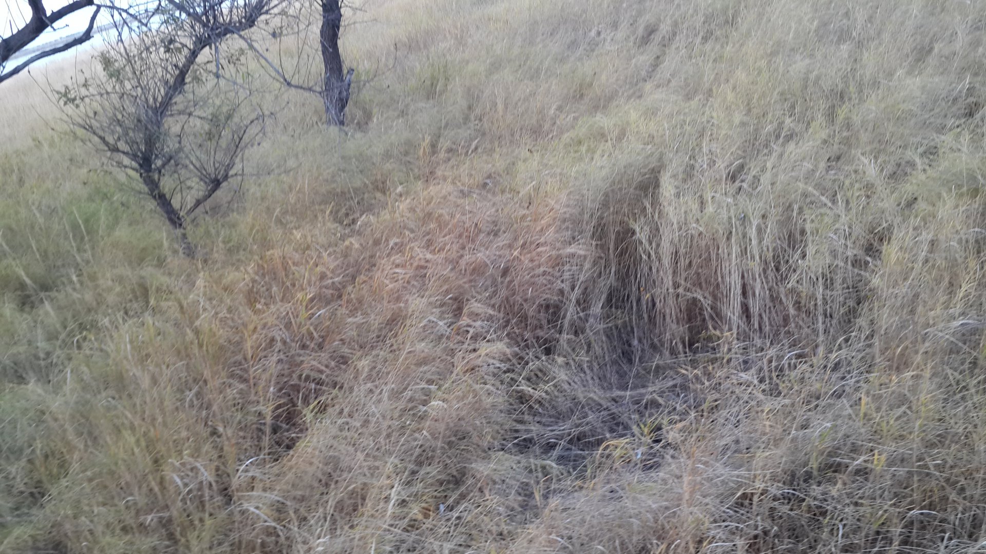 20151007_181503.jpg