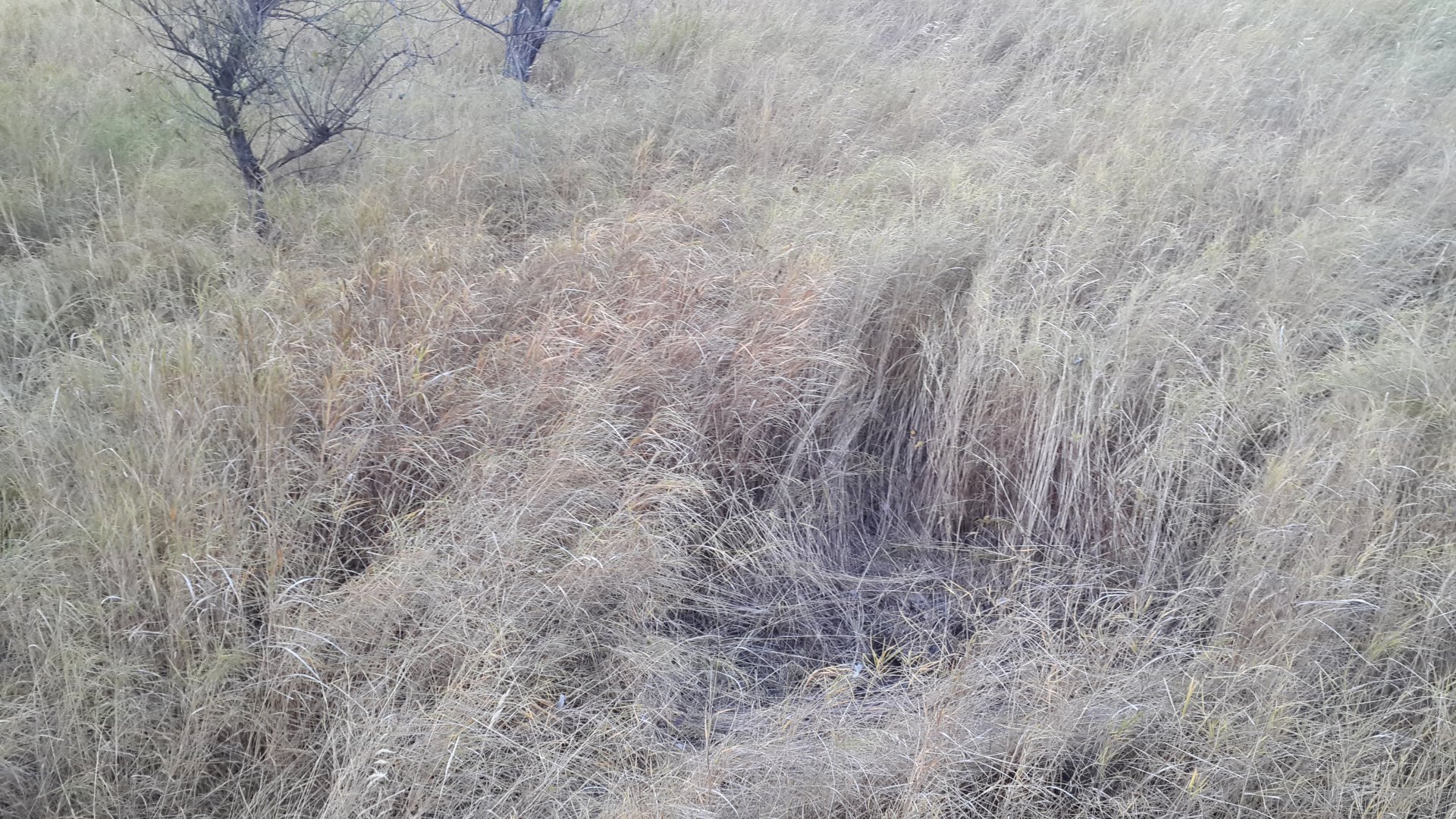 20151007_181520.jpg