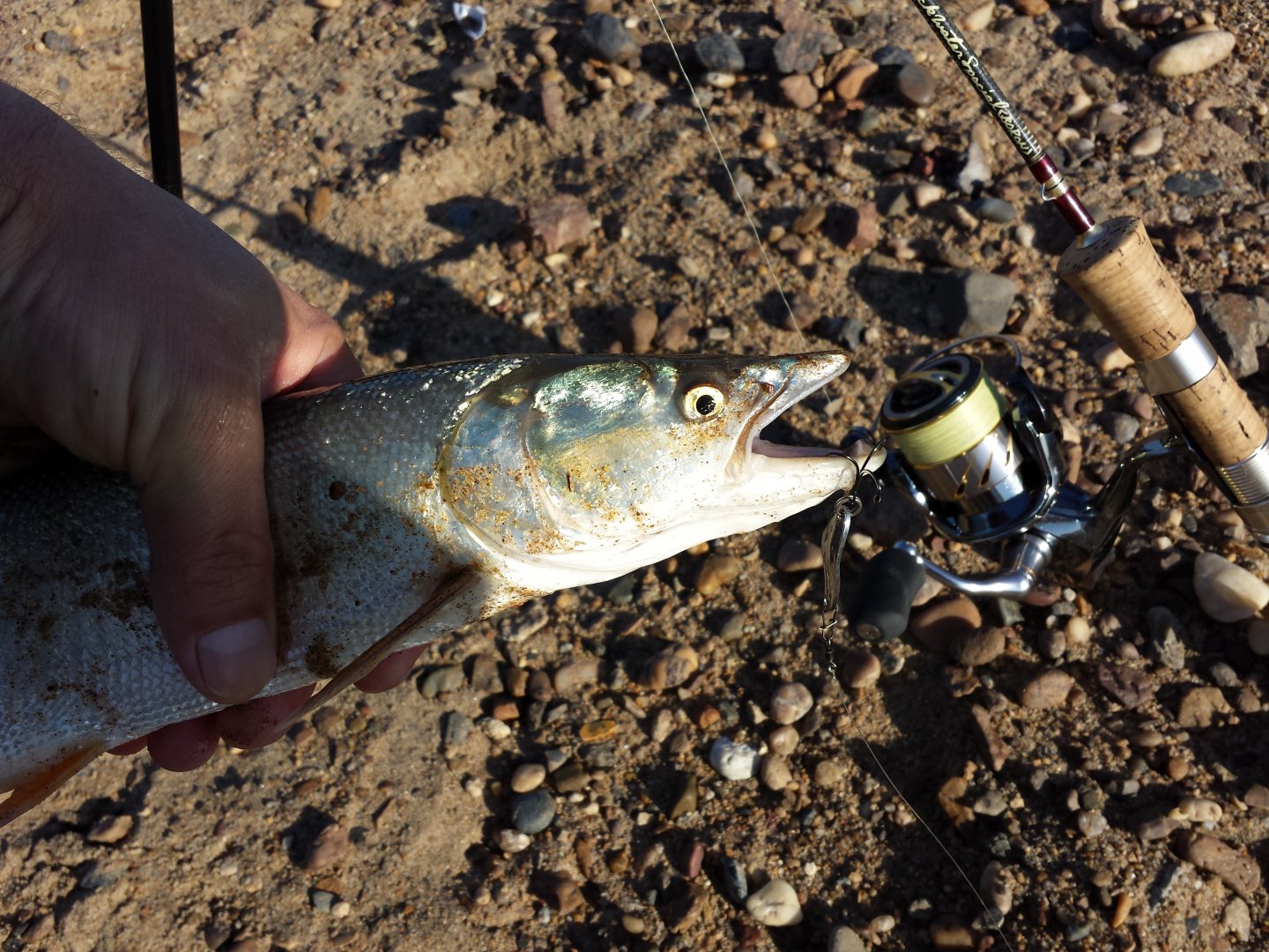 20151008_150752.jpg