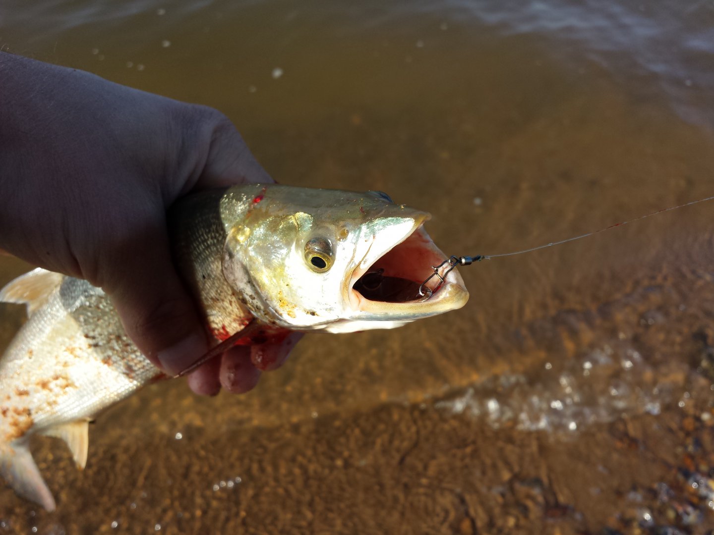 20151008_155220.jpg