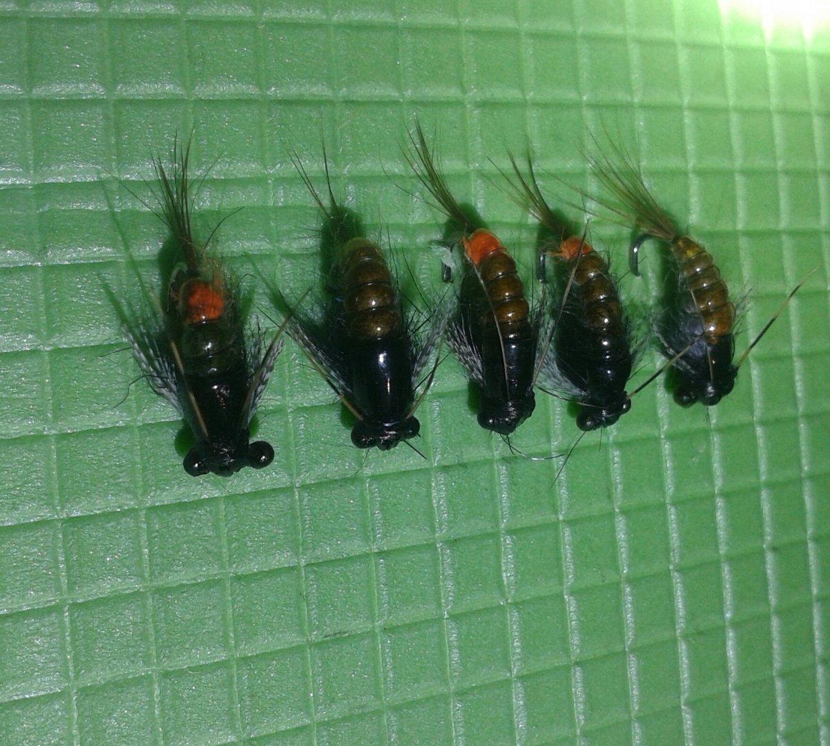 20151008_181447-1.jpg