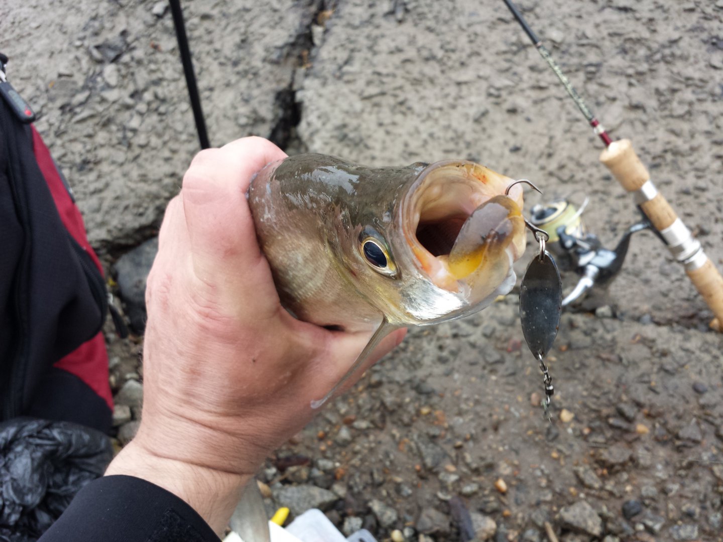 20151009_160530.jpg